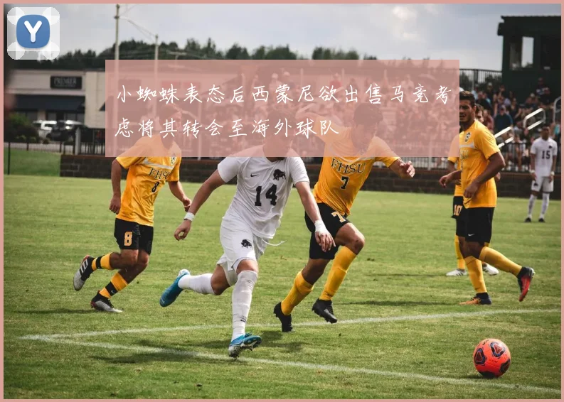小蜘蛛表态后西蒙尼欲出售马竞考虑将其转会至海外球队