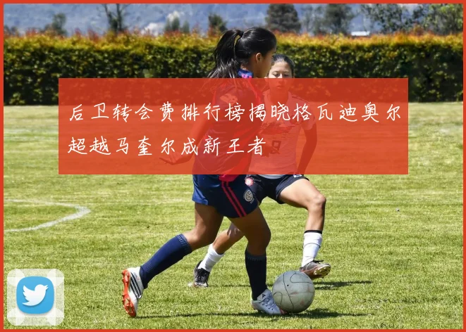 后卫转会费排行榜揭晓格瓦迪奥尔超越马奎尔成新王者