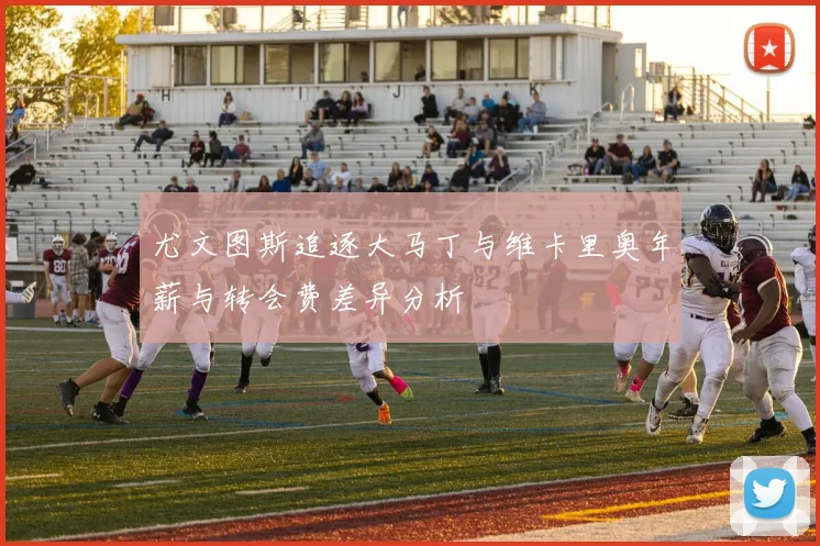 尤文图斯追逐大马丁与维卡里奥年薪与转会费差异分析